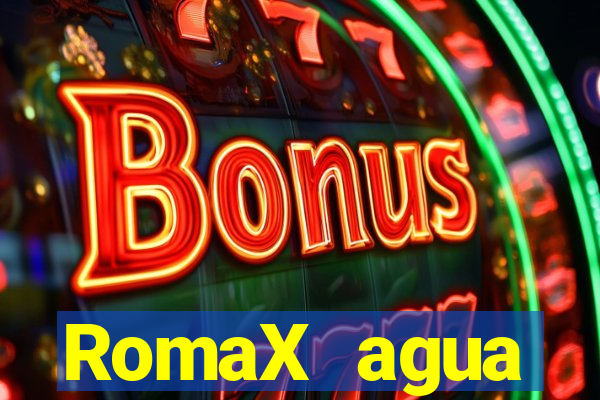 RomaX agua sanitaria fispq agua sanitaria romax